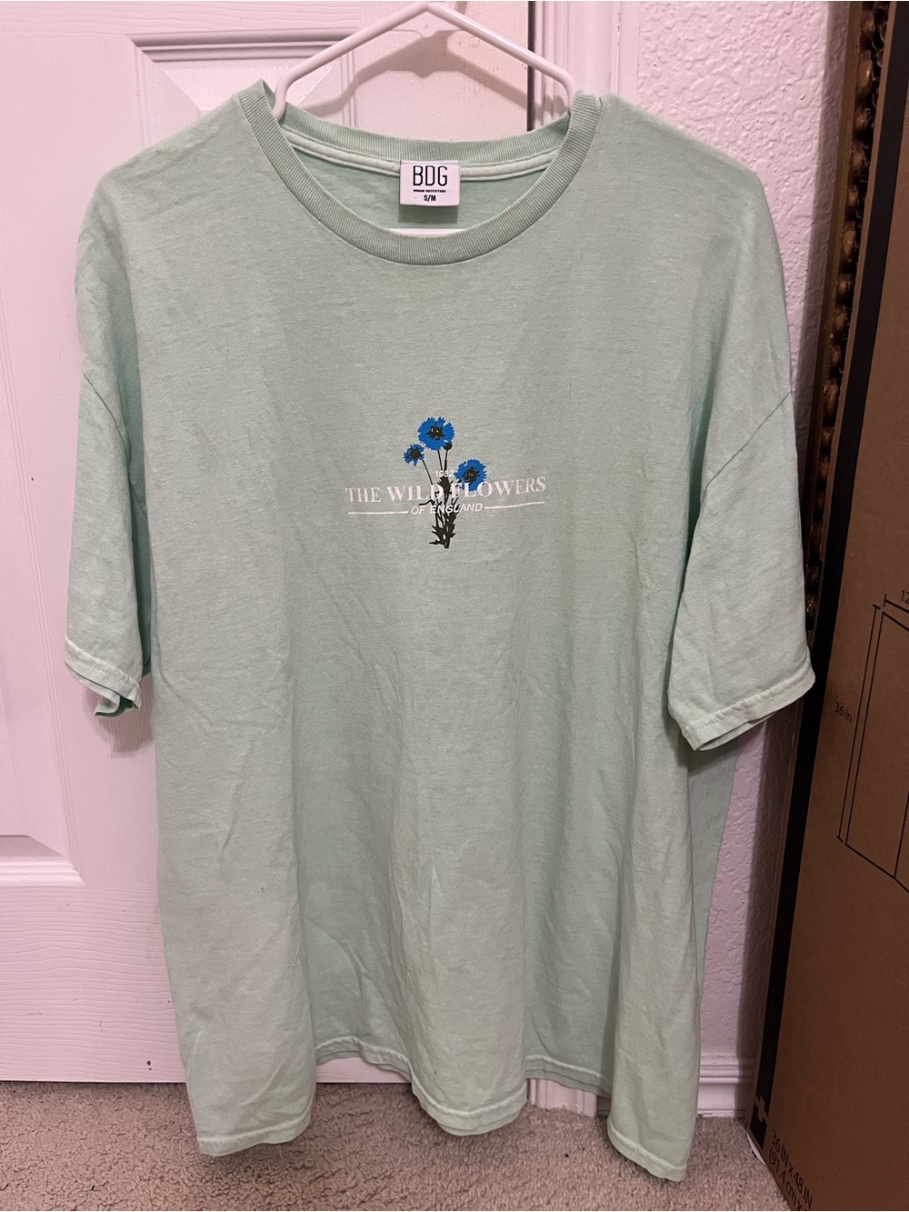 BDG Mint Green Graphic Tee with Blue Floral Print